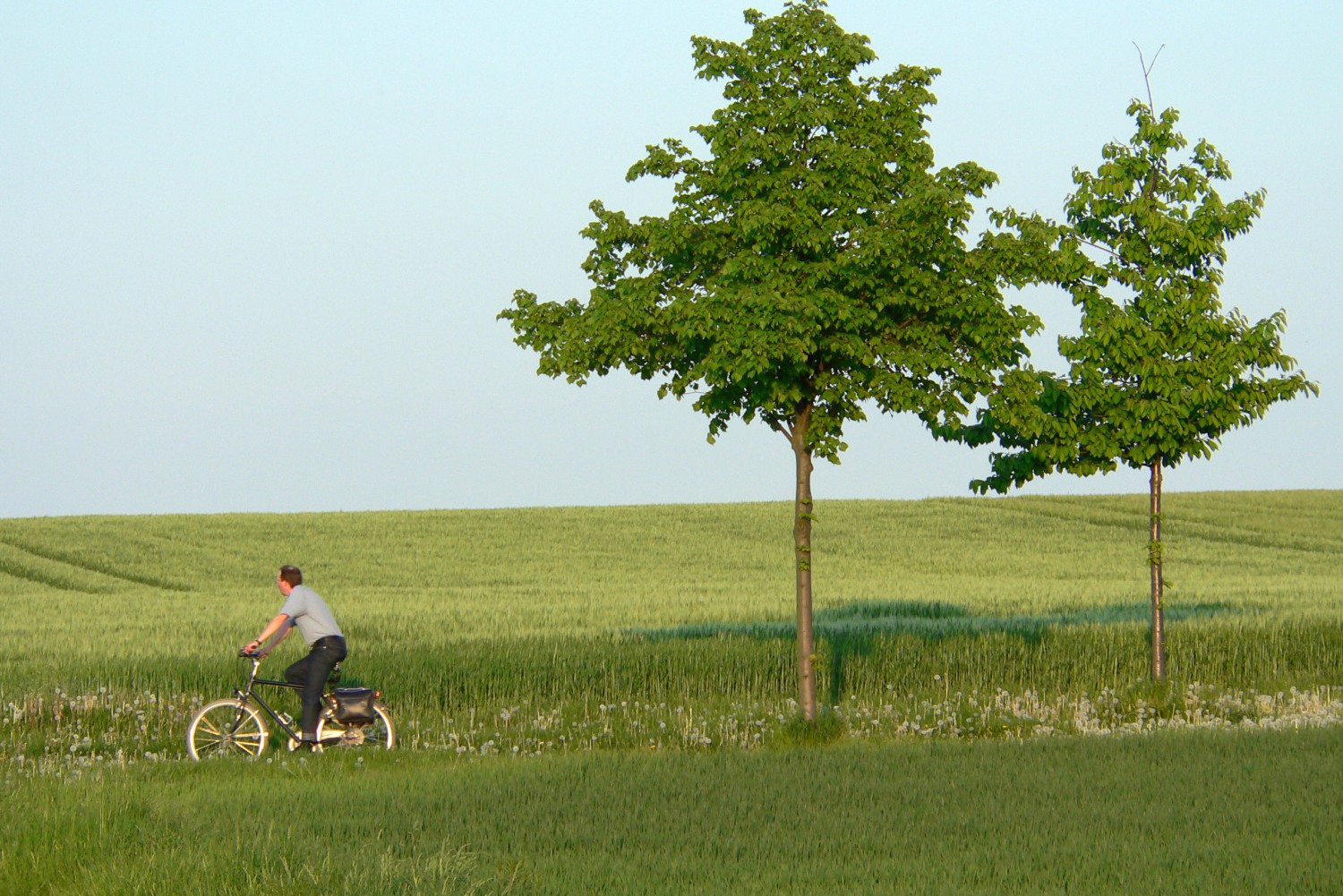 Hintergrundinfos für die Umsetzung von Mobilitätslösungen im ländlichen Raum